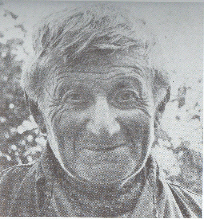 Evert de Vries, schaapherder te Gerwen
