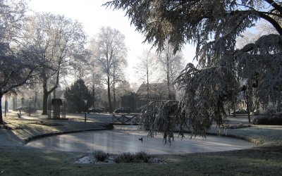 Kerst- en Nieuwjaarswens