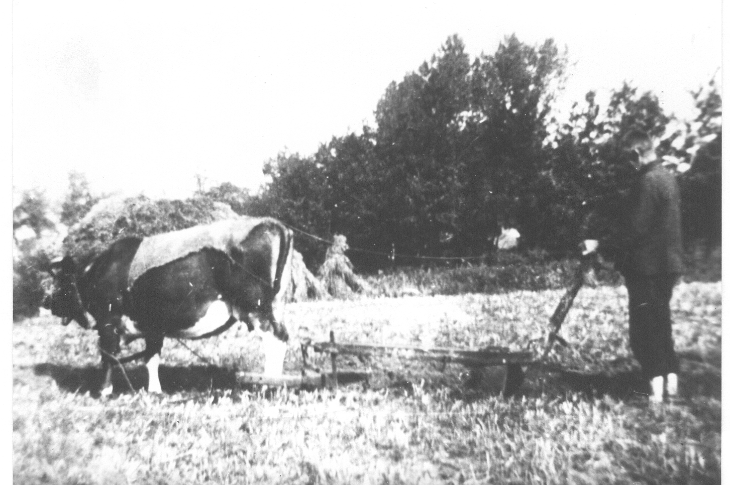 Martinus Verhagen